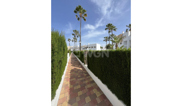 Odsprzedaż - Mieszkanie w bloku - Orihuela Costa - Villamartín