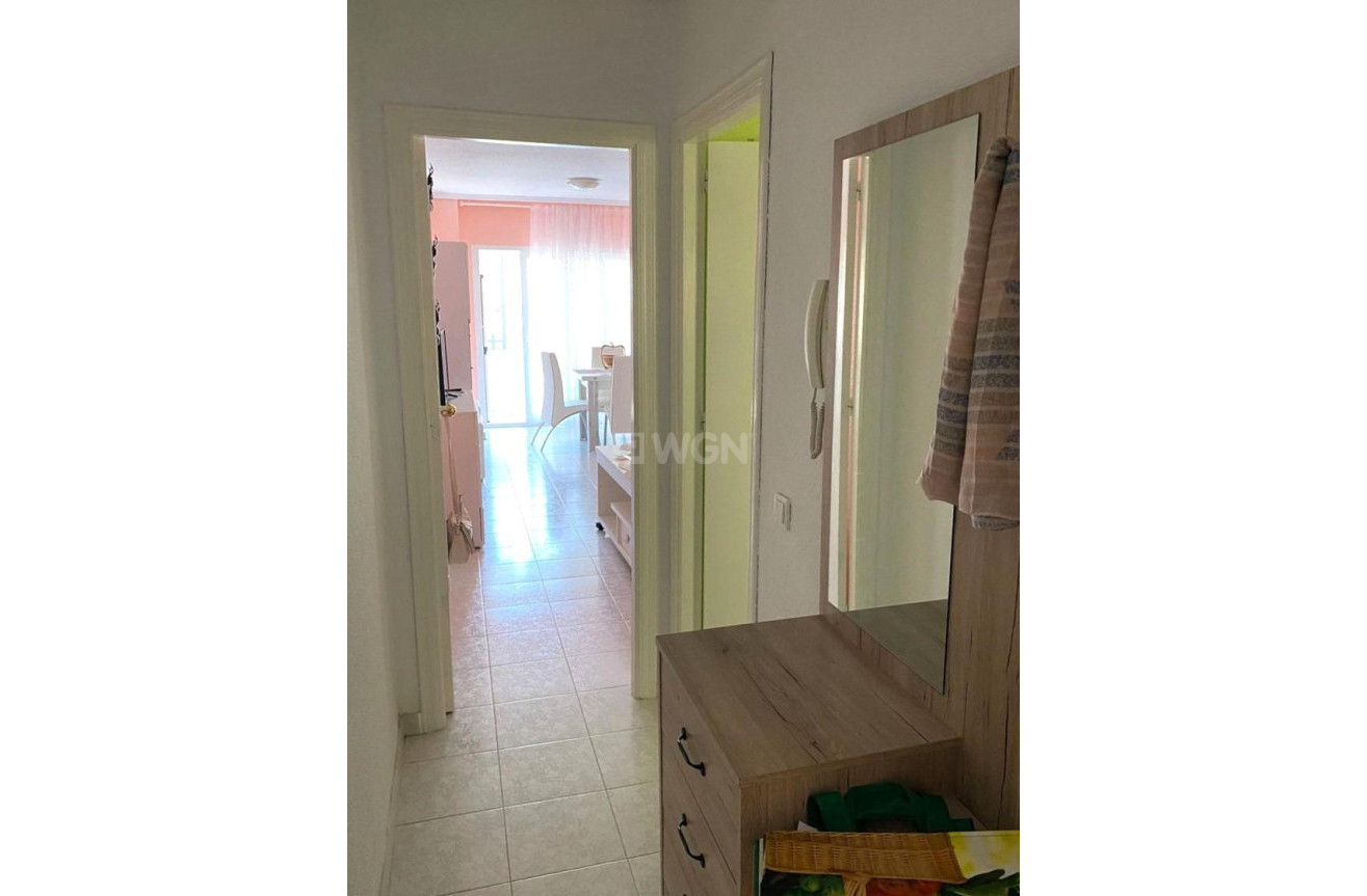 Reventa - Apartamento / piso - Torrevieja - El Molino
