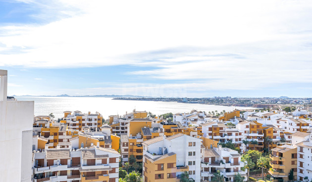 Odsprzedaż - Daszek - Torrevieja - Costa Blanca