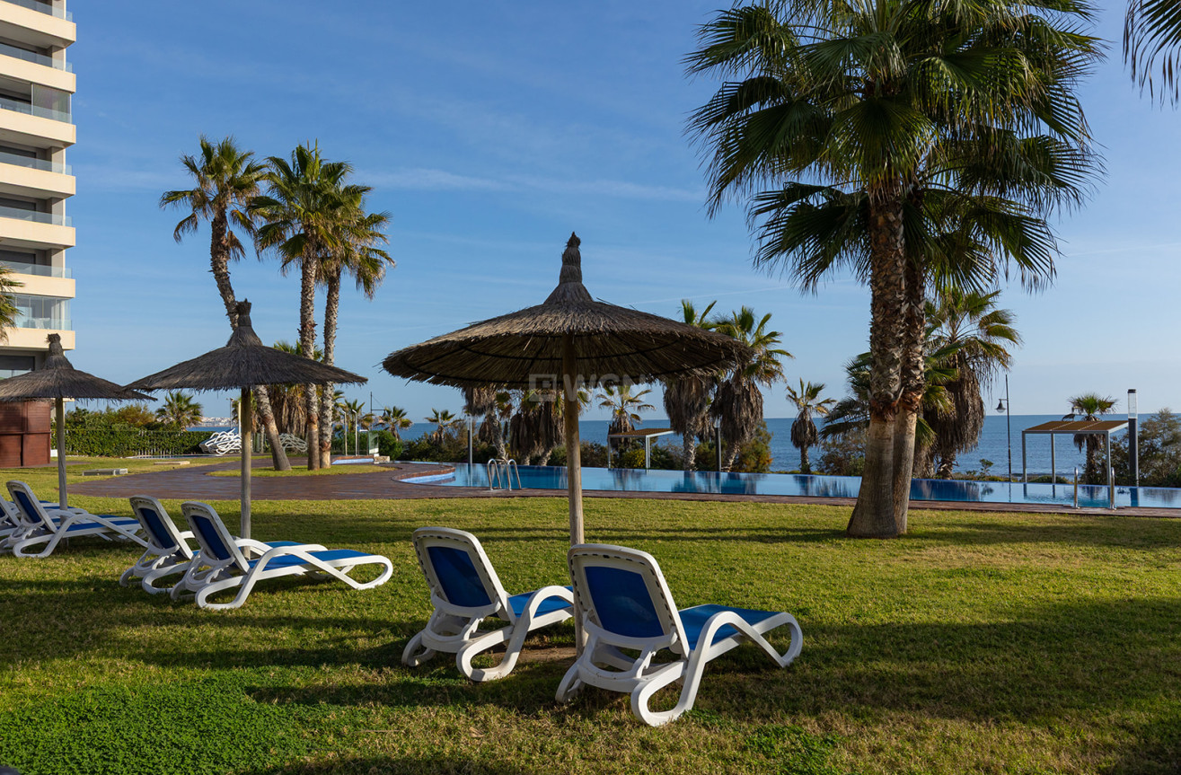 Reventa - Ático - Torrevieja - Costa Blanca