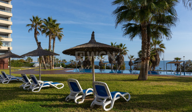 Reventa - Ático - Torrevieja - Costa Blanca