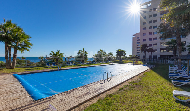 Reventa - Ático - Torrevieja - Costa Blanca