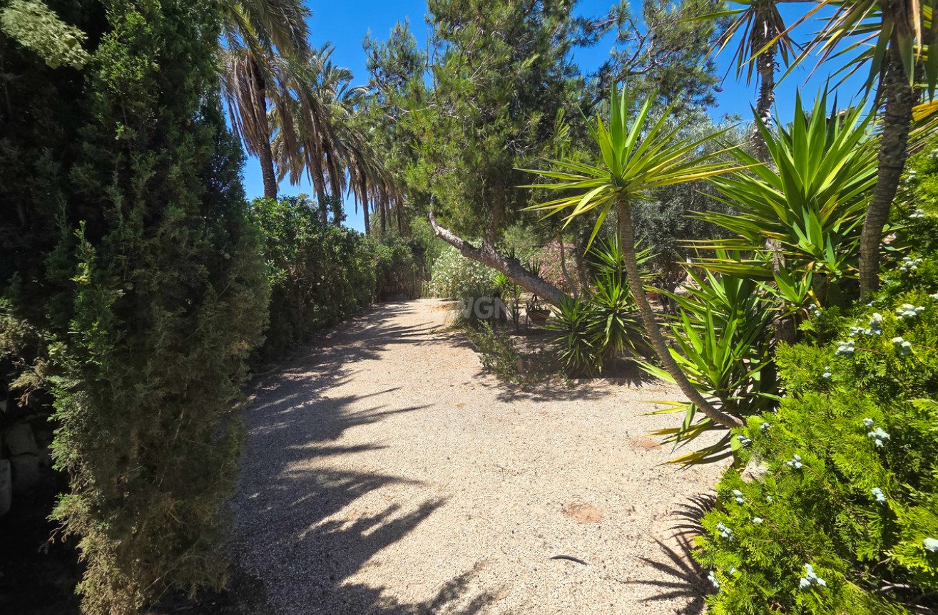 Wiederverkauf - Villa - Elche - Costa Blanca