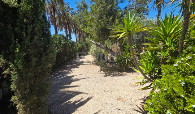 Wiederverkauf - Villa - Elche - Costa Blanca