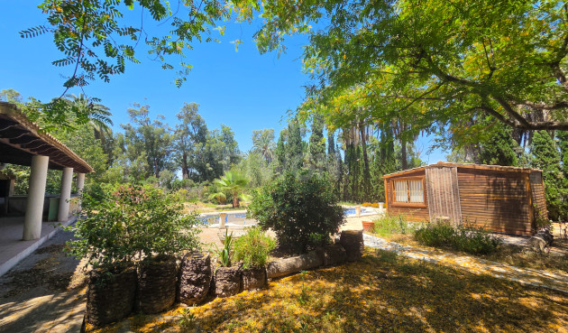Wiederverkauf - Villa - Elche - Costa Blanca