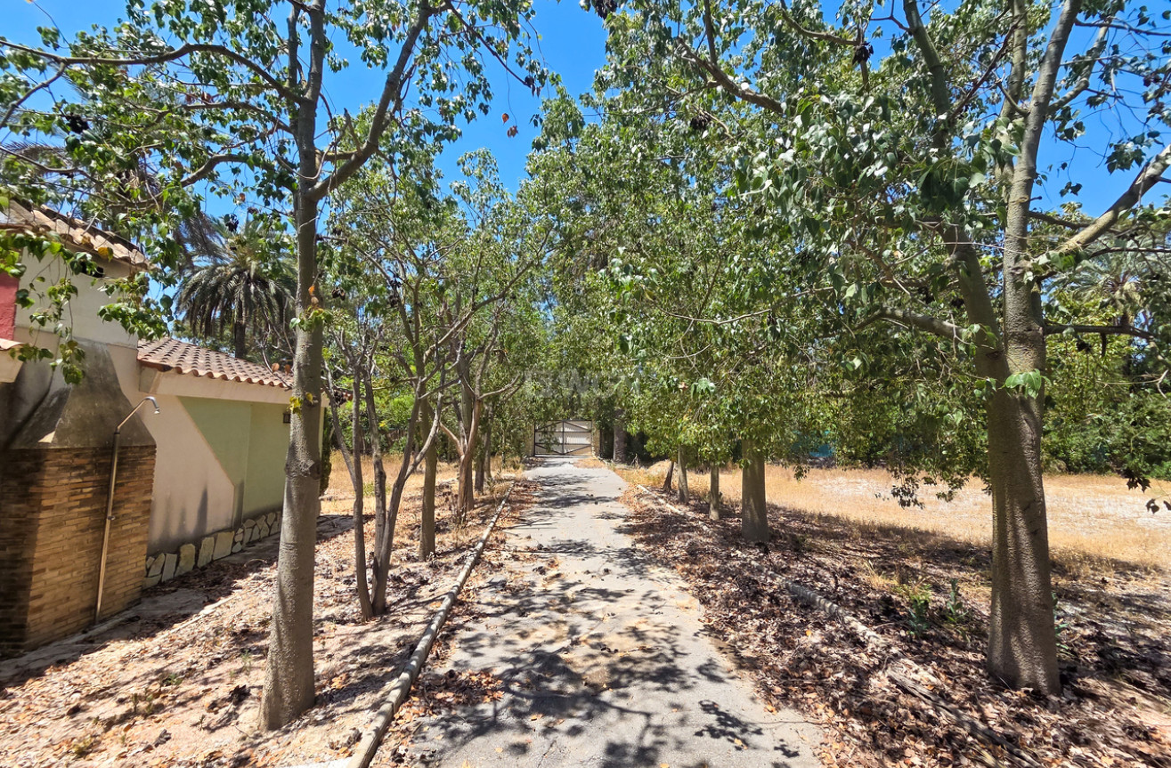 Wiederverkauf - Villa - Elche - Costa Blanca