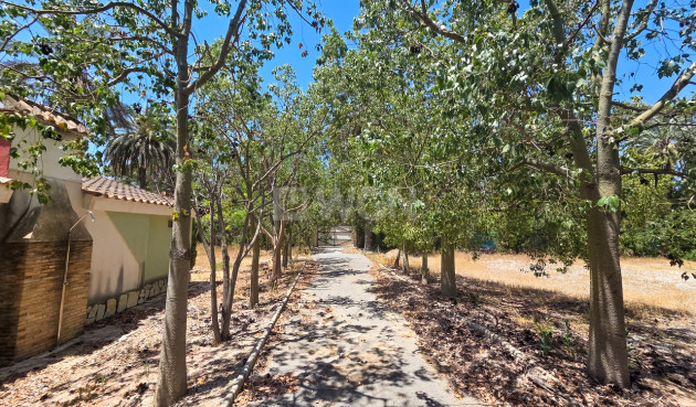 Wiederverkauf - Villa - Elche - Costa Blanca