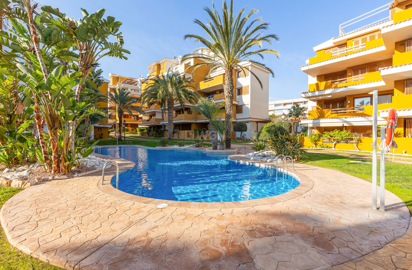 Odsprzedaż - Mieszkanie w bloku - Torrevieja - Costa Blanca