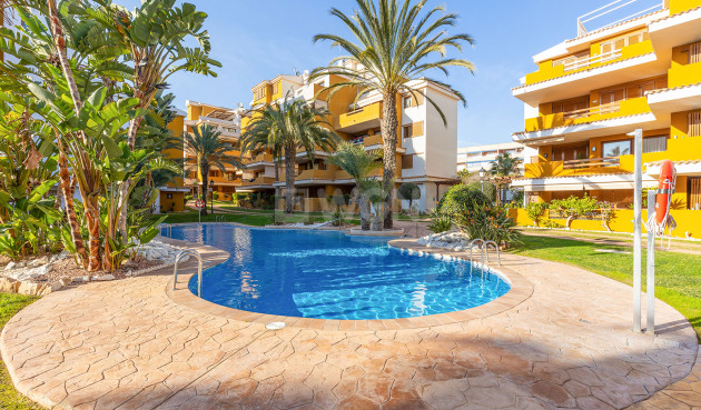 Odsprzedaż - Mieszkanie w bloku - Torrevieja - Costa Blanca