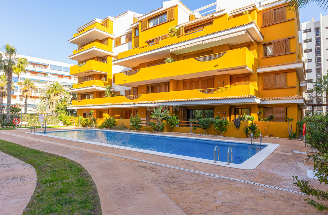 Odsprzedaż - Mieszkanie w bloku - Torrevieja - Costa Blanca