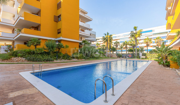 Odsprzedaż - Mieszkanie w bloku - Torrevieja - Costa Blanca