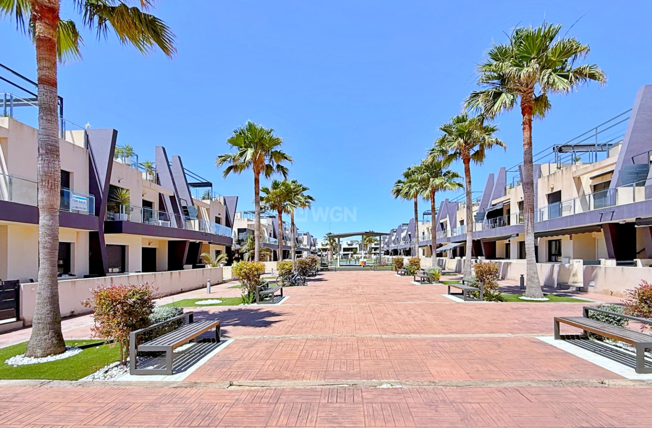 Resale - Penthouse - Pilar de la Horadada - Costa Blanca