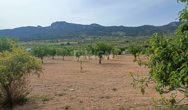 Odsprzedaż - Villa - La Romana - Inland