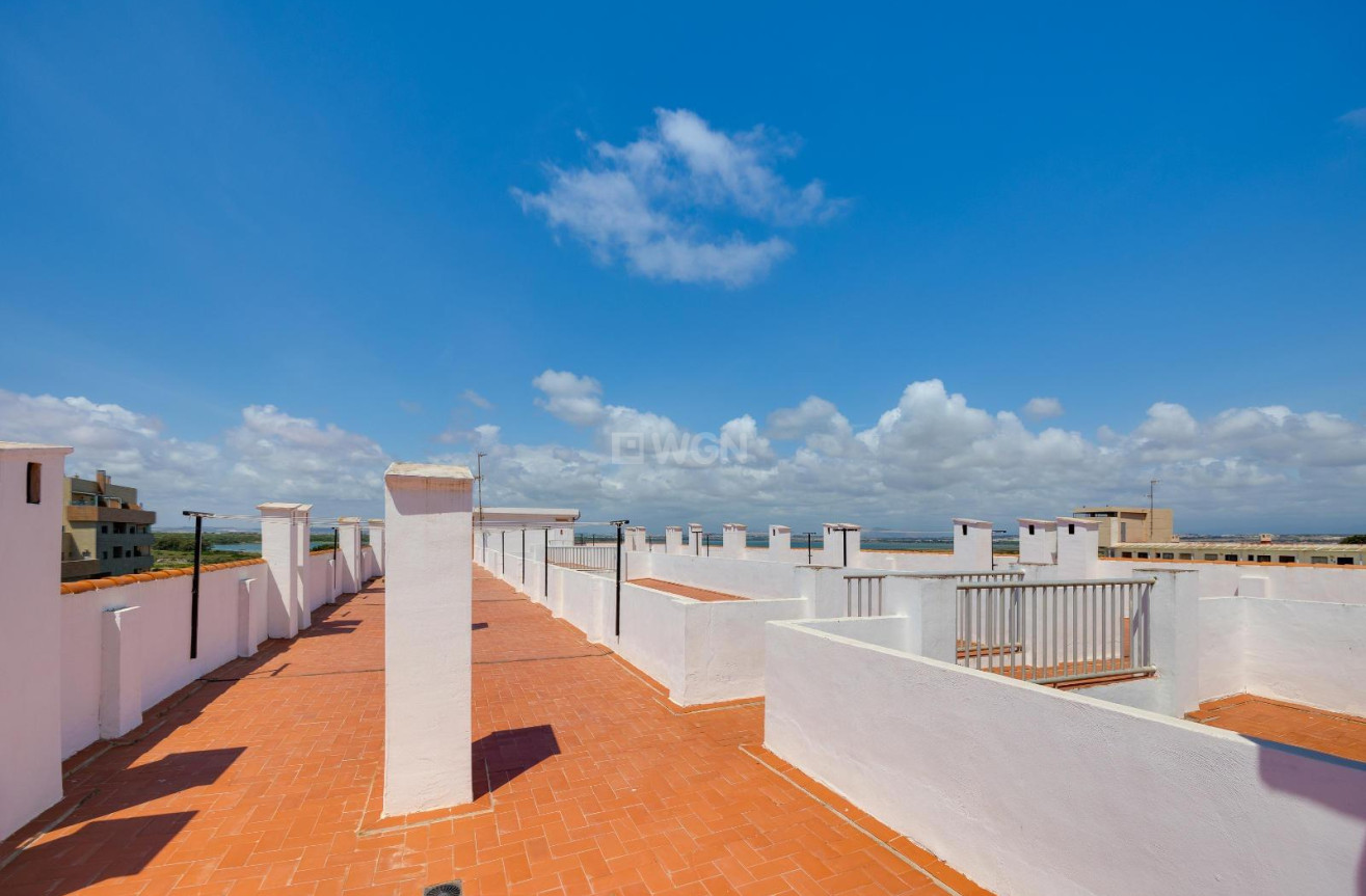 Wiederverkauf - Wohnung - Torrevieja - La Mata Pueblo