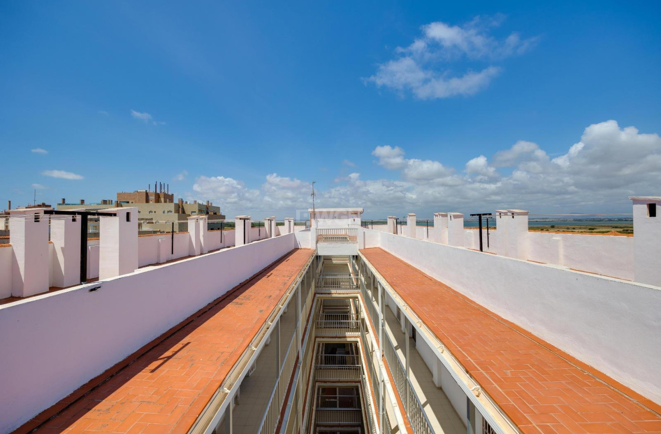 Wiederverkauf - Wohnung - Torrevieja - La Mata Pueblo