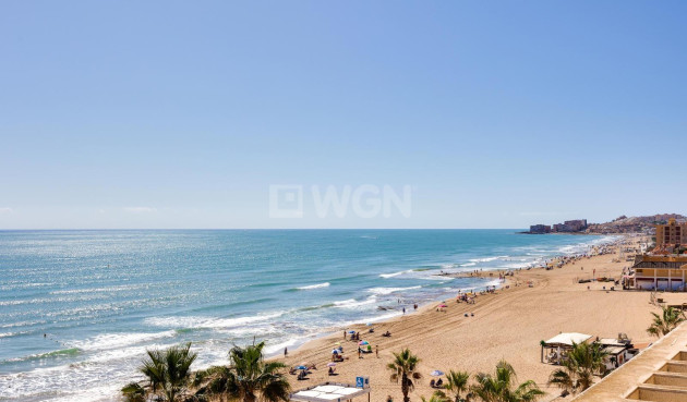 Wiederverkauf - Wohnung - Torrevieja - La Mata Pueblo