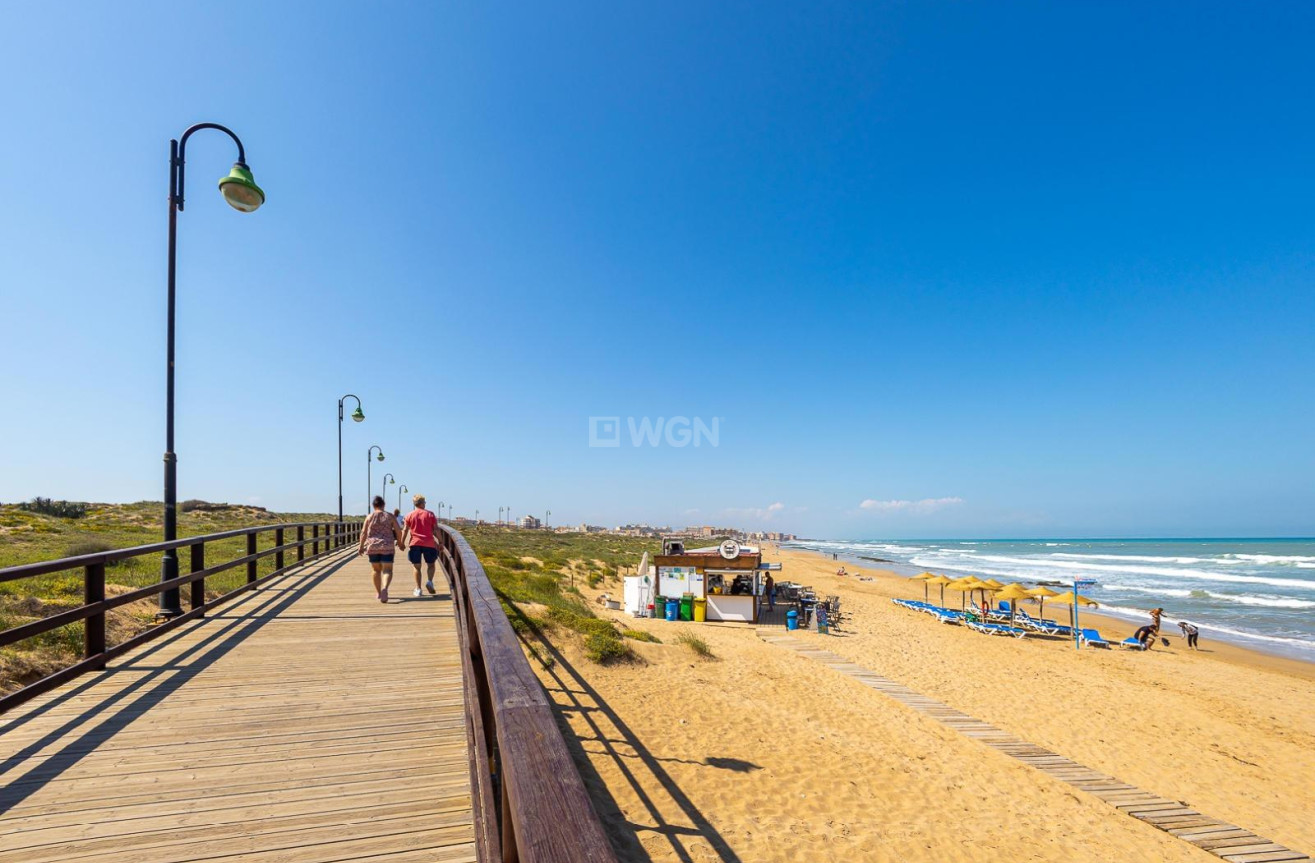 Wiederverkauf - Wohnung - Torrevieja - La Mata Pueblo