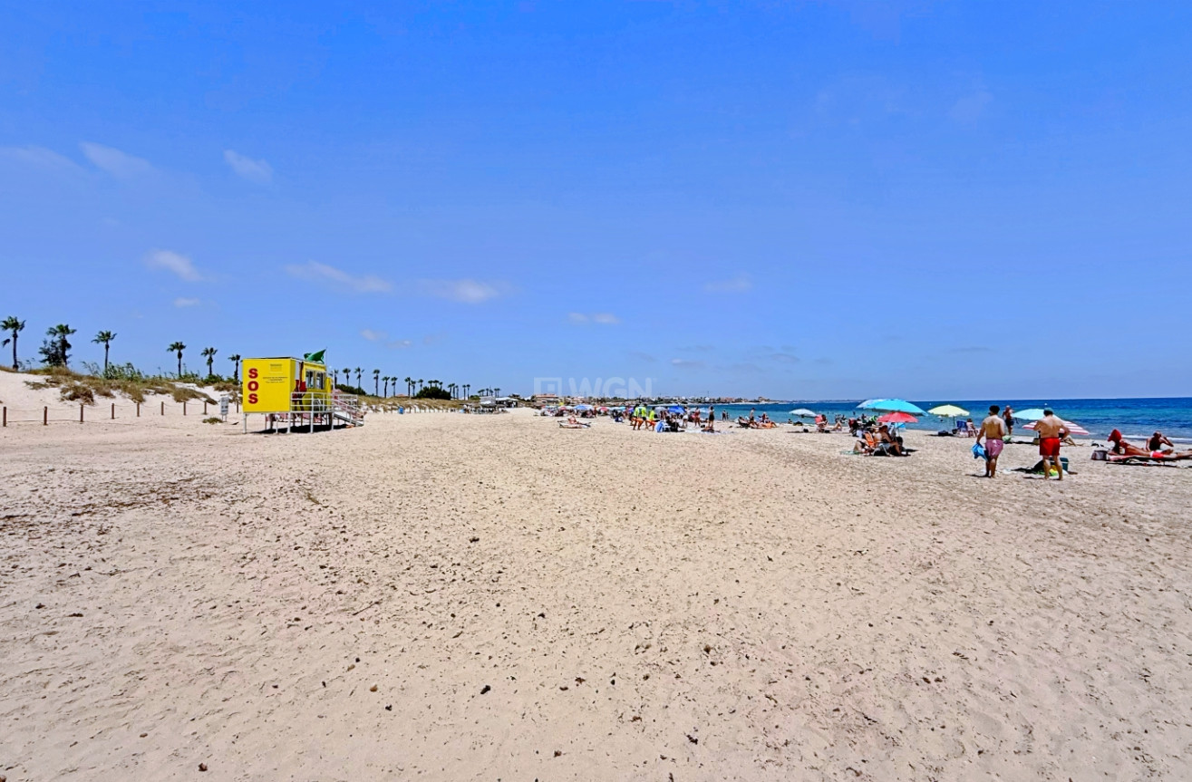 Resale - Penthouse - Pilar de la Horadada - Costa Blanca