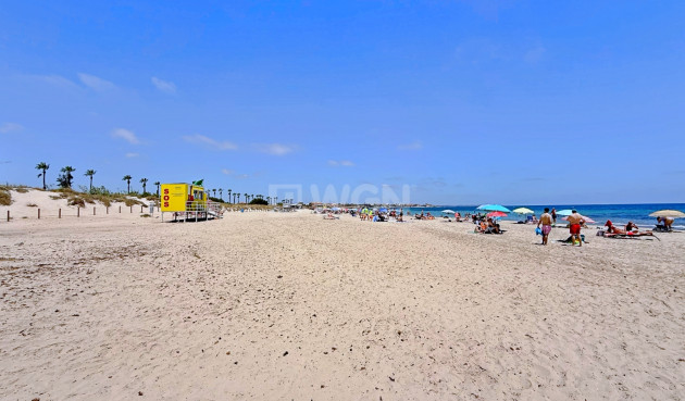 Resale - Penthouse - Pilar de la Horadada - Costa Blanca