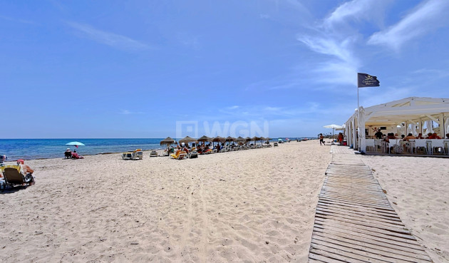 Resale - Penthouse - Pilar de la Horadada - Costa Blanca