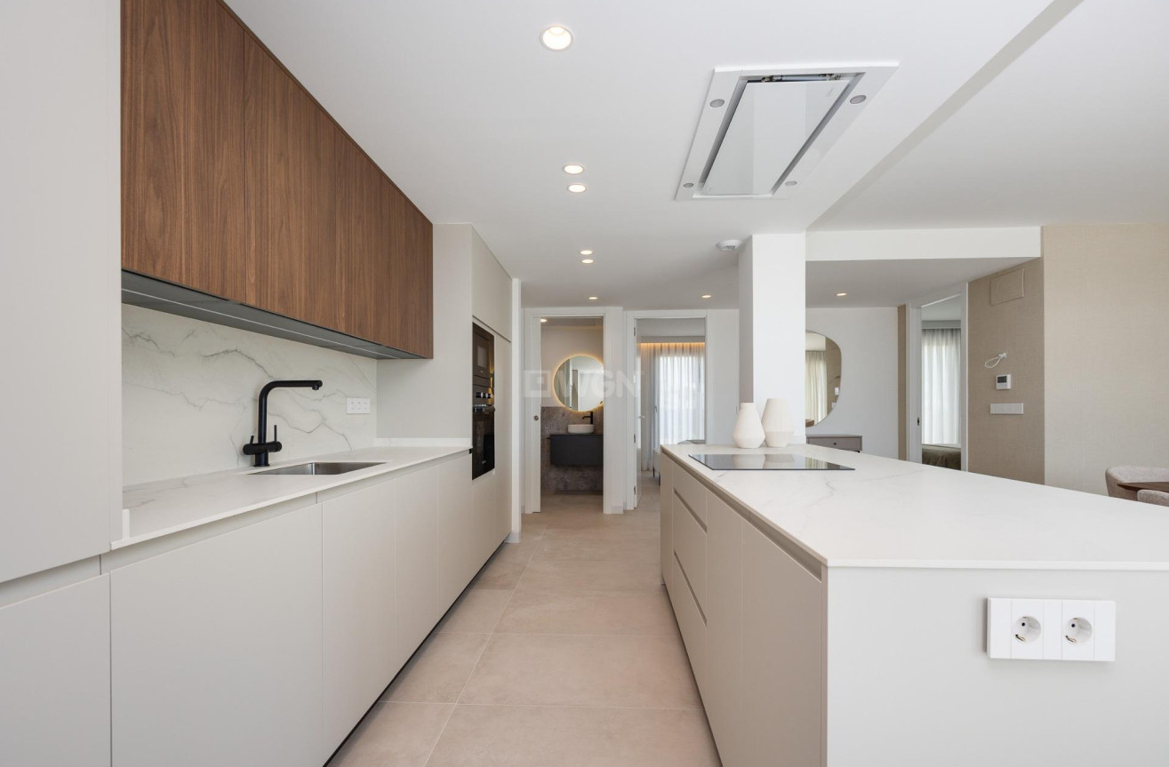 Obra nueva - Villa - Mutxamel - Cotoveta