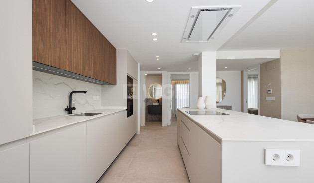 Obra nueva - Villa - Mutxamel - Cotoveta