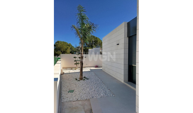 Nowy budynek - Villa - Pilar de la Horadada - Lo Romero Golf
