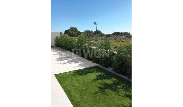 Nowy budynek - Villa - Pilar de la Horadada - Lo Romero Golf