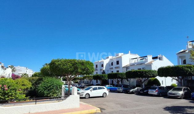 Odsprzedaż - Bungalow - Ciudad Quesada - Costa Blanca