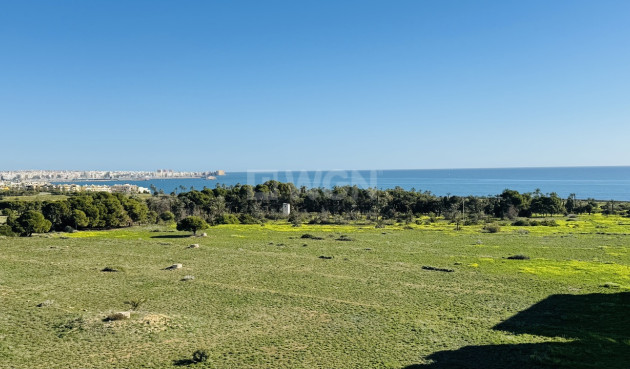 Odsprzedaż - Daszek - Punta Prima - Costa Blanca