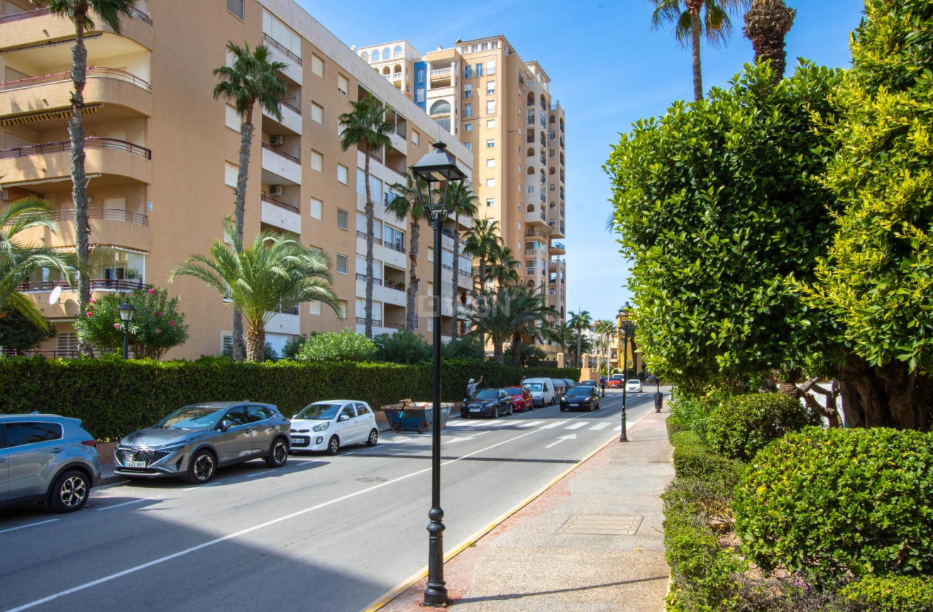 Odsprzedaż - Mieszkanie w bloku - Torrevieja - Los Frutales
