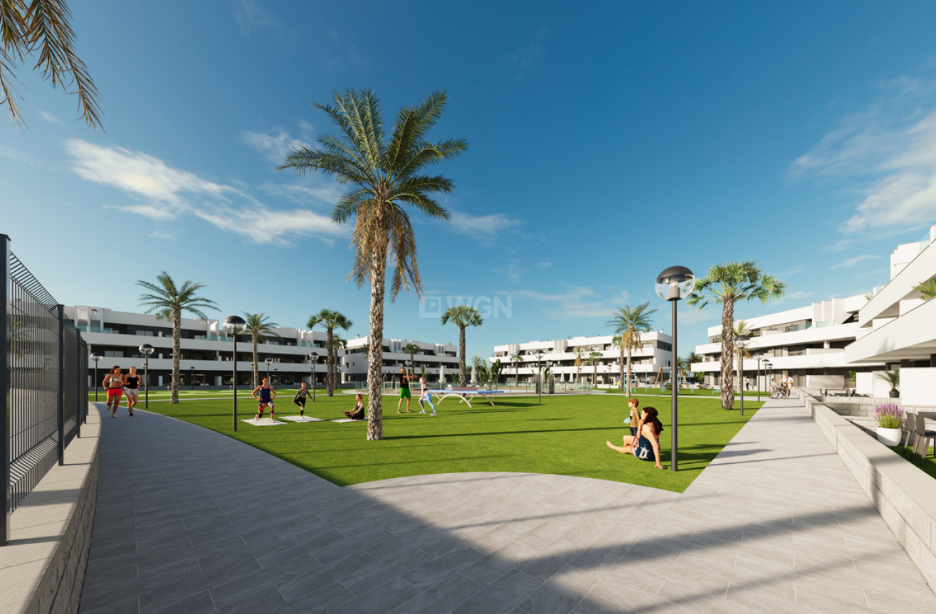 Odsprzedaż - Mieszkanie w bloku - Guardamar del Segura - Costa Blanca
