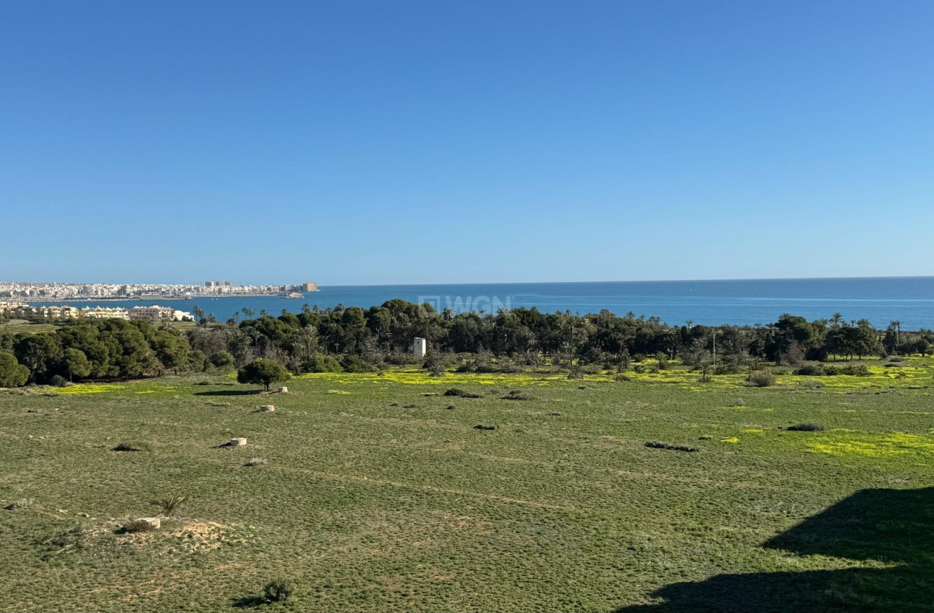 Wiederverkauf - Penthouse - Torrevieja - Punta Prima