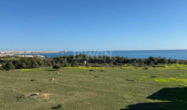Wiederverkauf - Penthouse - Torrevieja - Punta Prima