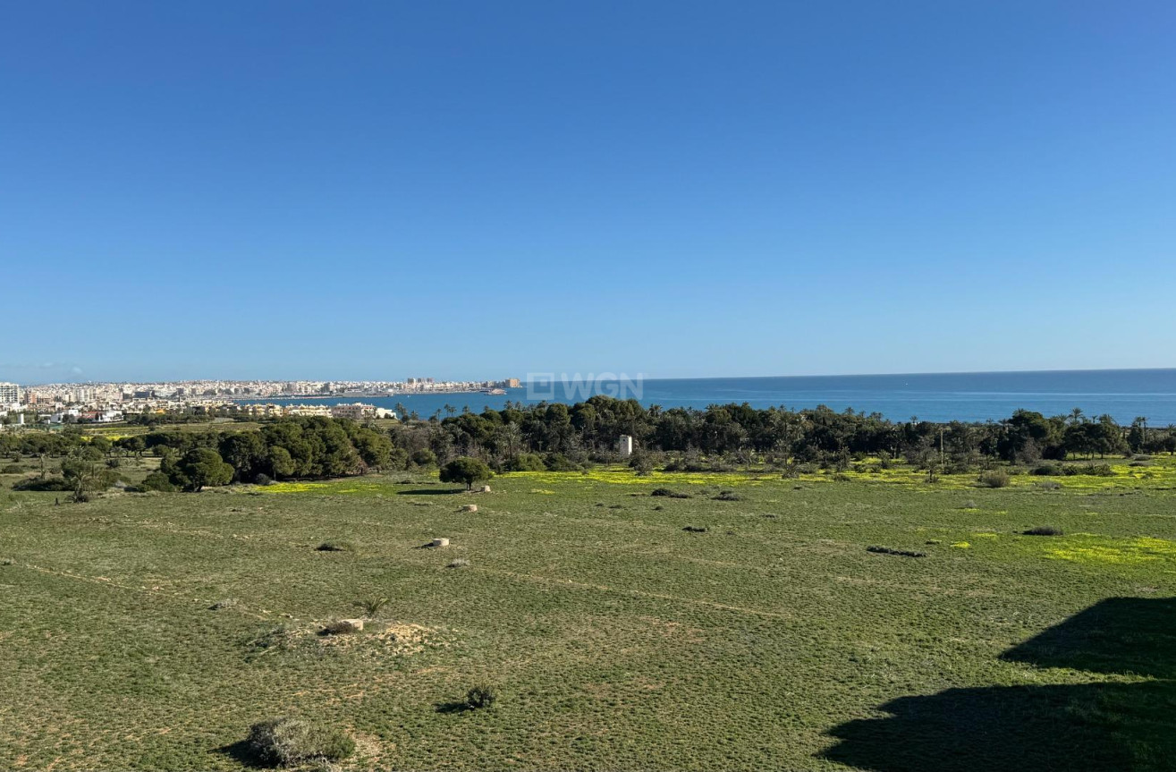 Wiederverkauf - Penthouse - Torrevieja - Punta Prima