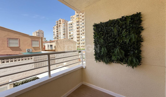Odsprzedaż - Mieszkanie w bloku - Torrevieja - Nueva Torrevieja
