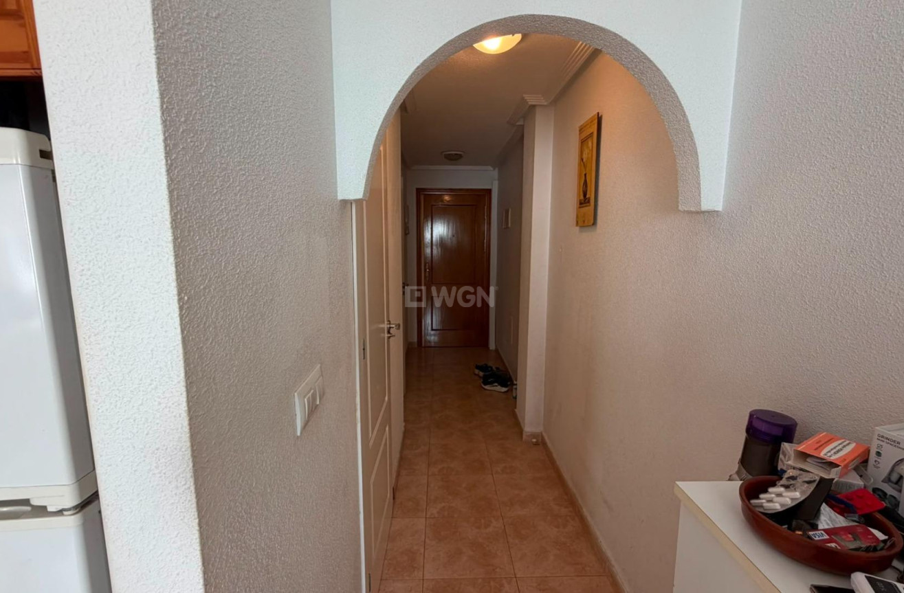 Wiederverkauf - Wohnung - Torrevieja - PARQUE DE LAS NACIONES