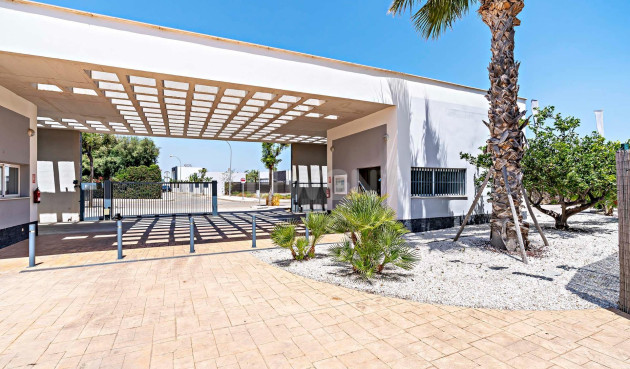 Obra nueva - Apartamento / piso - Vera - El Playazo