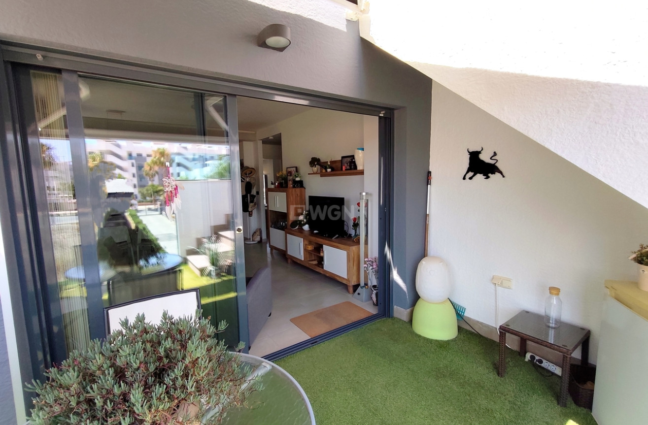 Wiederverkauf - Penthouse - Guardamar del Segura - Costa Blanca