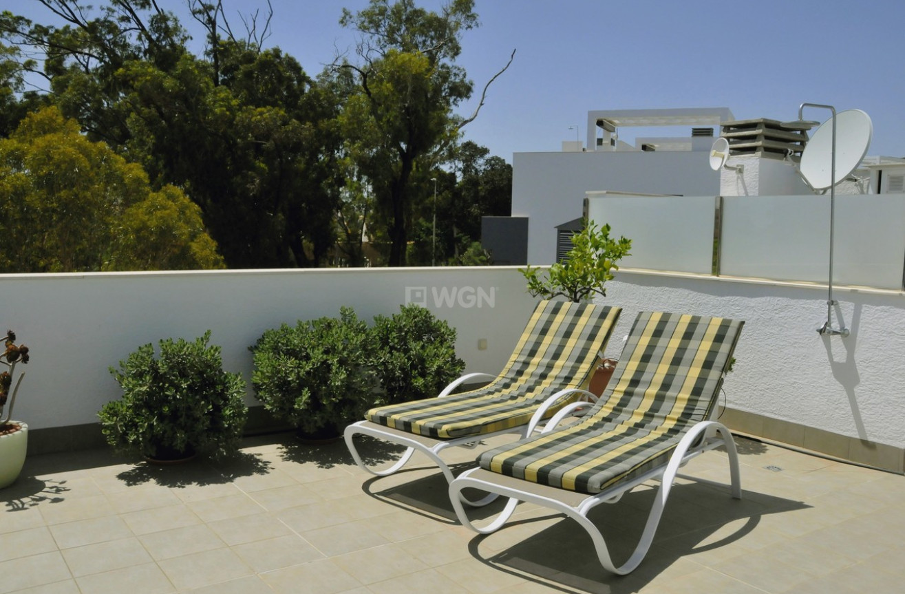 Wiederverkauf - Penthouse - Guardamar del Segura - Costa Blanca