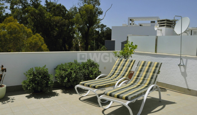 Wiederverkauf - Penthouse - Guardamar del Segura - Costa Blanca