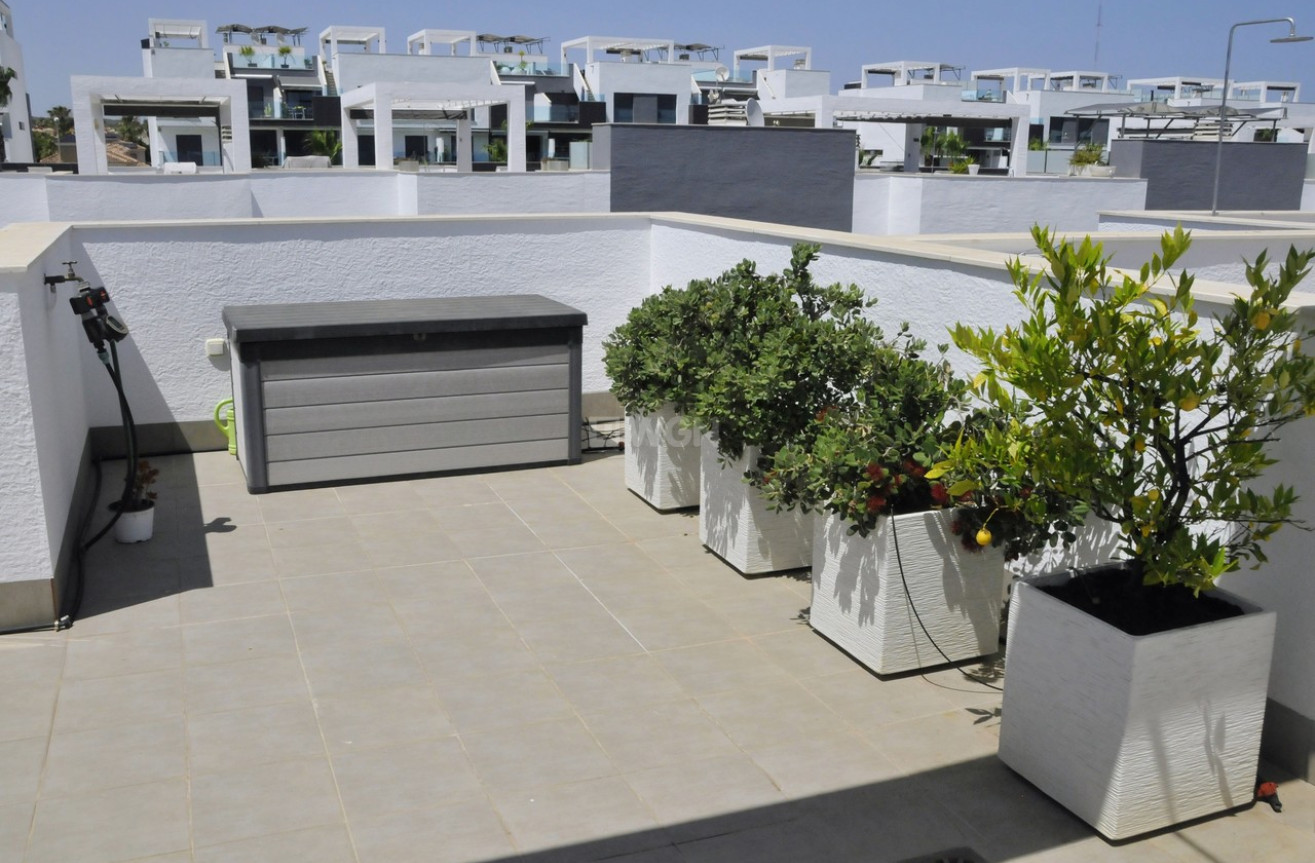 Wiederverkauf - Penthouse - Guardamar del Segura - Costa Blanca