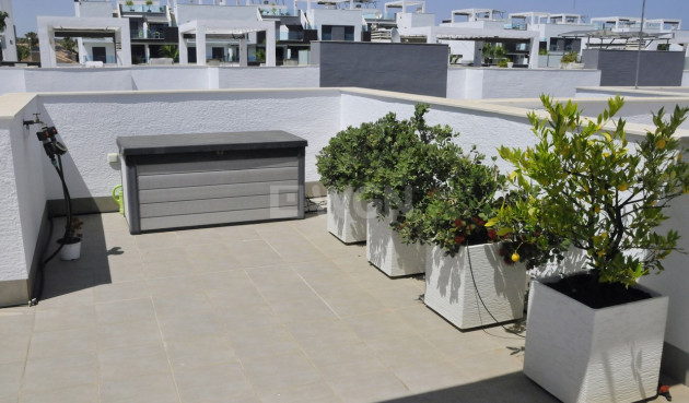 Wiederverkauf - Penthouse - Guardamar del Segura - Costa Blanca