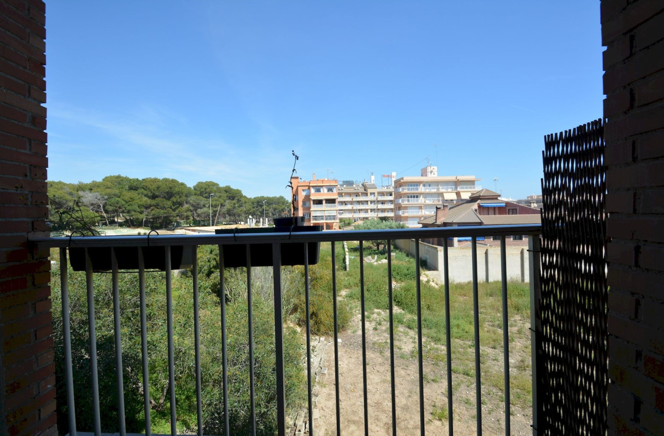 Odsprzedaż - Mieszkanie w bloku - Guardamar del Segura - Costa Blanca