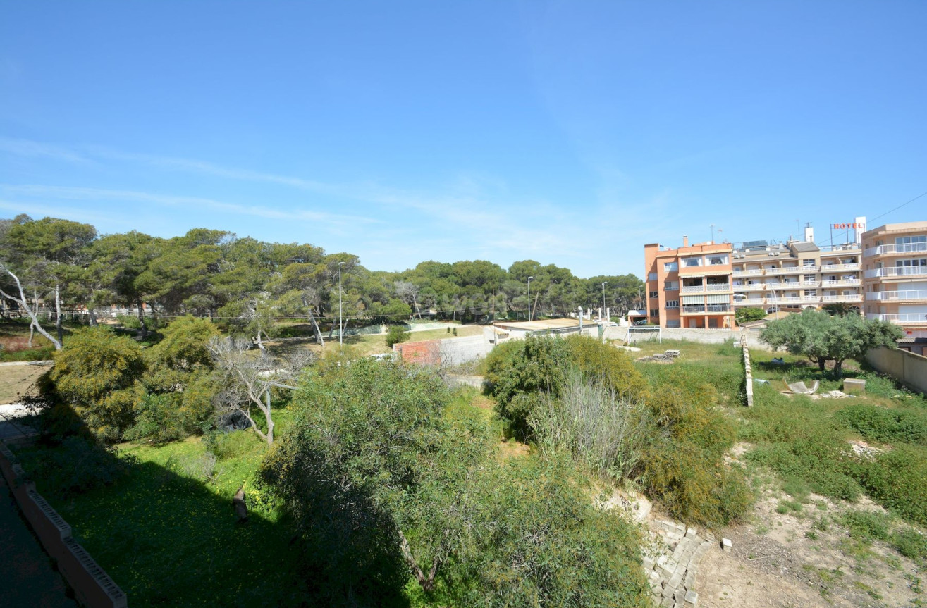 Odsprzedaż - Mieszkanie w bloku - Guardamar del Segura - Costa Blanca