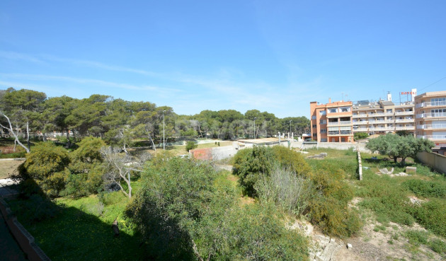 Odsprzedaż - Mieszkanie w bloku - Guardamar del Segura - Costa Blanca