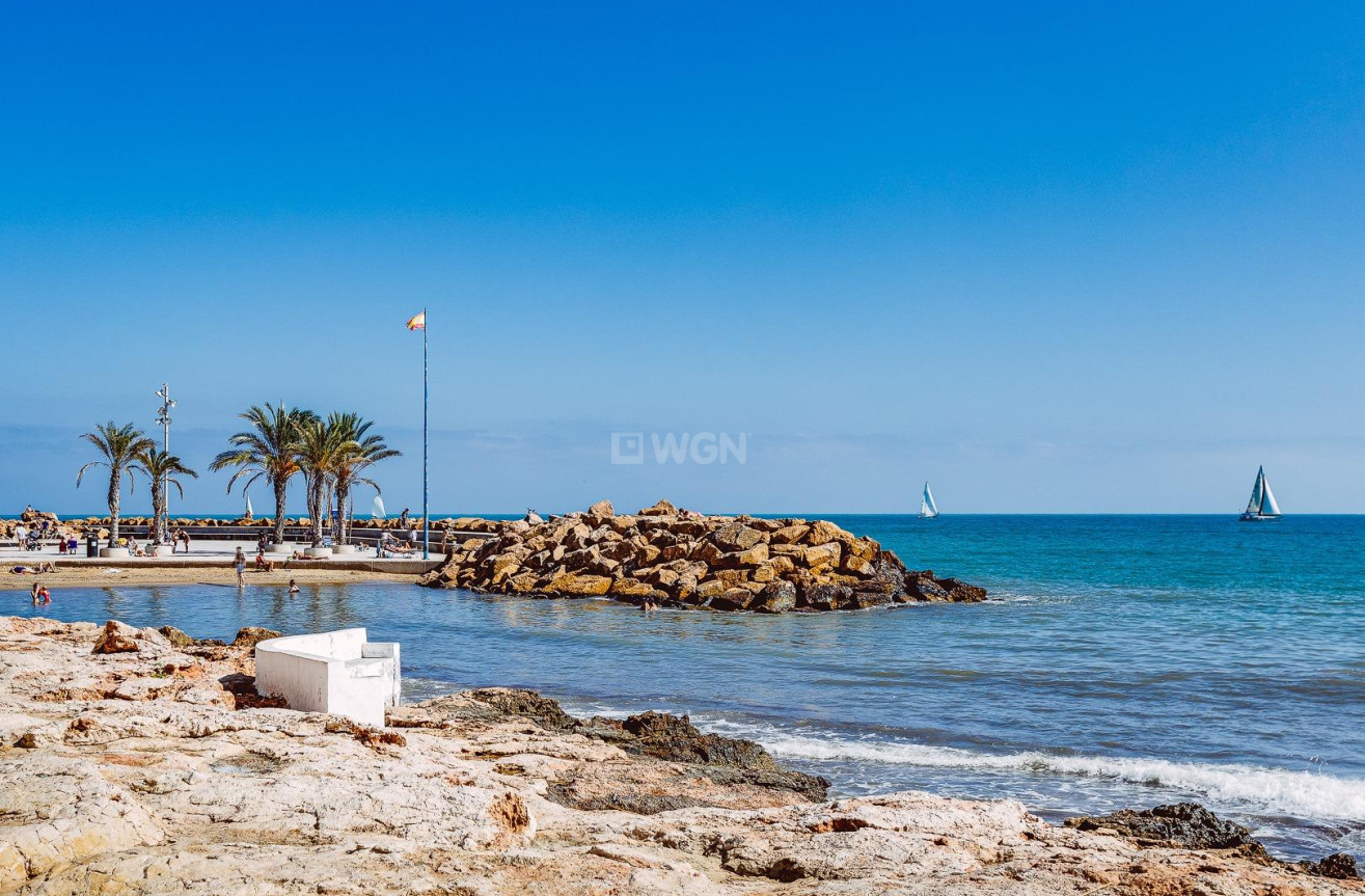 Reventa - Apartamento / piso - Torrevieja - Antonio Machado