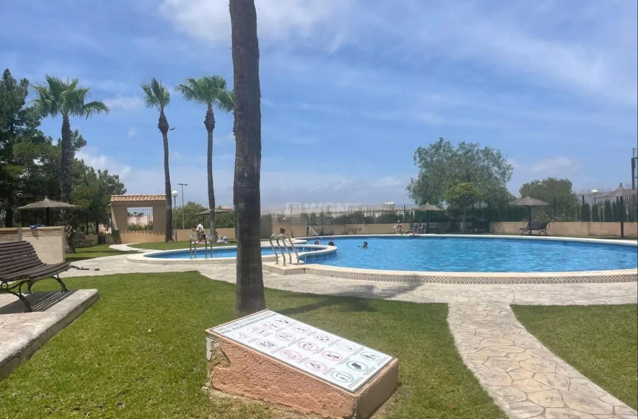 Wiederverkauf - Stadthaus - Orihuela Costa - Los Almendros-la Florida
