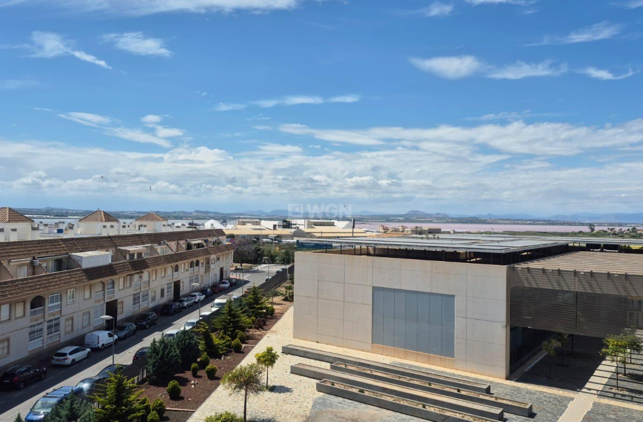 Wiederverkauf - Wohnung - Torrevieja - Acequion