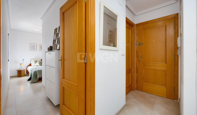 Wiederverkauf - Penthouse - Torrevieja - Centro